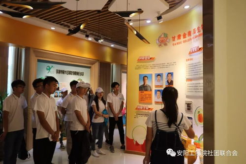 絲路新世界 青春中國夢 張掖科技中介服務(wù)調(diào)研實(shí)踐報(bào)告