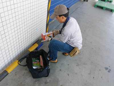 食品廠老鼠防治方案，早用早省心 清潔服務(wù)助您無憂經(jīng)營